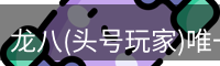 龙八官网